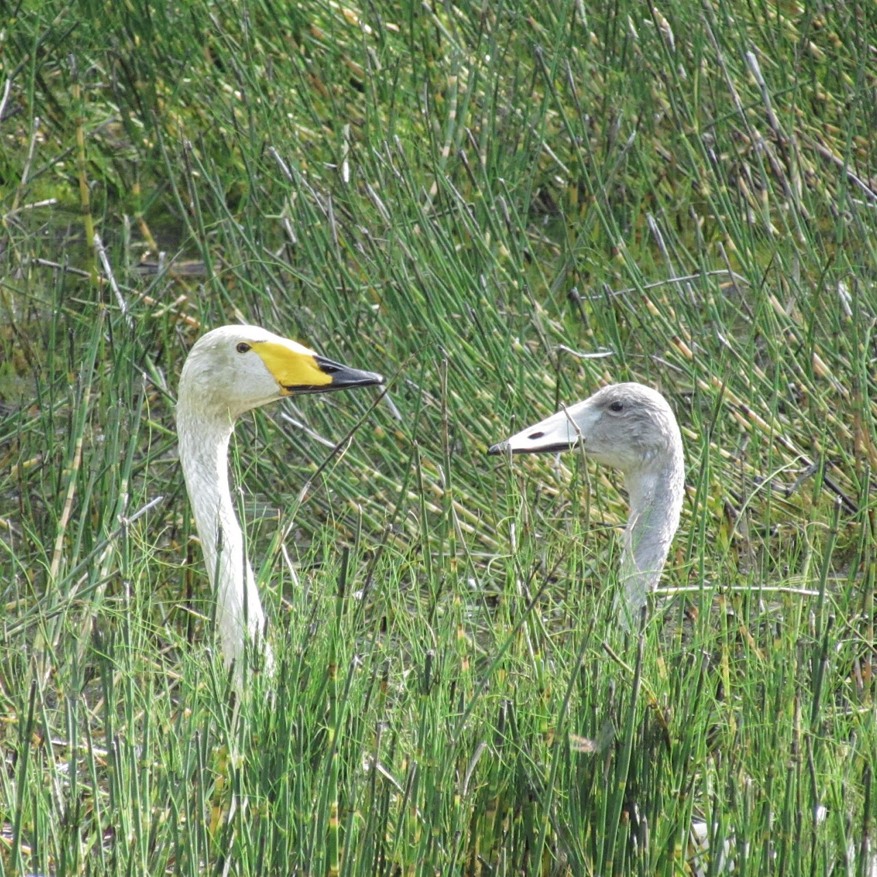 Valokuvaaja työskentelemässä